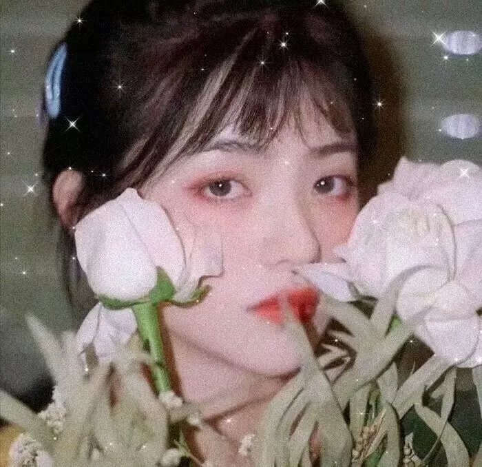 火坑莲情鸳定藕